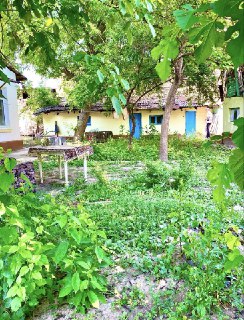 Yakkasaroy uchastkasi sotiladi