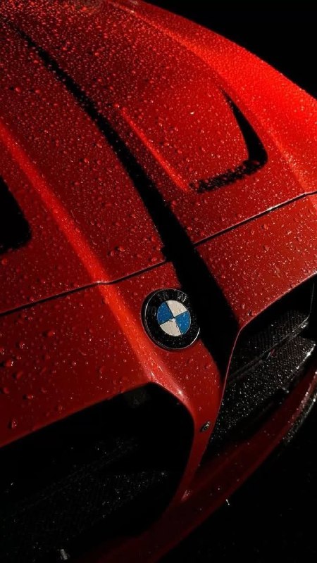 BMW M Powerhttps://t.me/bmw_mpower_club#bmw #mpower #bmwmpower #bmwworld #bmwmpo