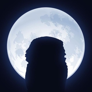 NOT Wise Chat Telegram channel profile photo