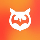 Owl Notes