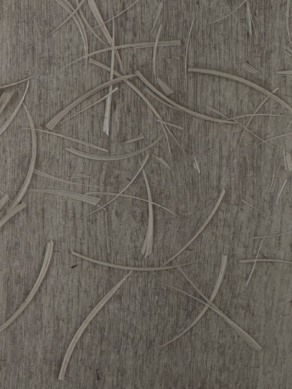 Два дня стрижек и общения обо всем — как я люблю 🌹Спасибо, что тепло встретили, дорогие мои клиенты. Отдельное спасибо за подарки, вы лучшие 🫵🏻❤️‍🔥Два дня стрижек и общения обо всем — как я люблю 🌹Спасибо, что тепло встретили, дорогие мои клиенты. Отдельное спасибо за подарки, вы лучшие 🫵🏻❤️‍🔥