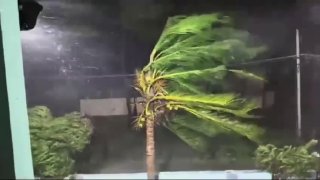 שני מיליון בני אדם נותרו ללא חשמל בהודו עקב ציקלון ארנב האסון כיסה את חלקה הדרום מזרחי של המדינה. כבר ידוע…