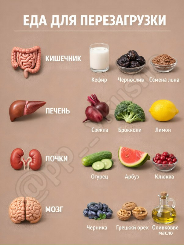 Секретное оружие здоровья: доступные продукты для каждого органа 2