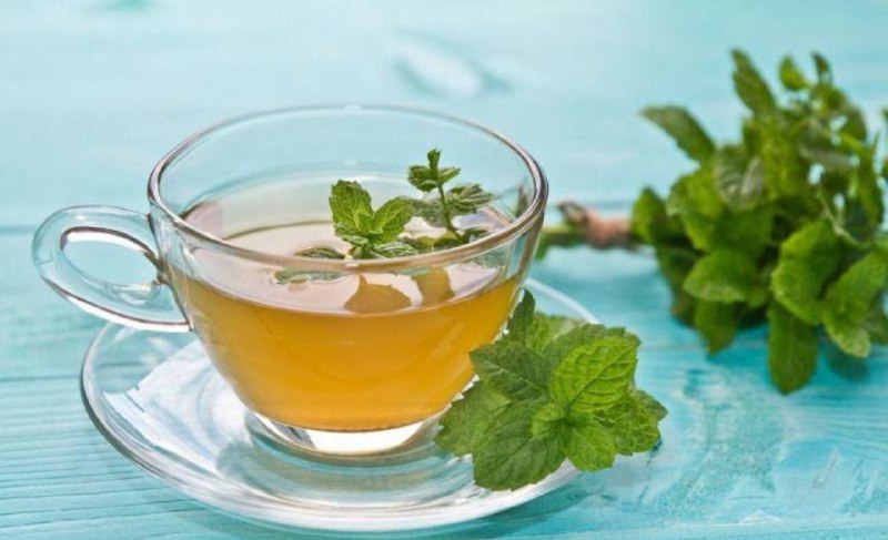 🍃طب گیاهی و سنتی🍃: 🔴میخواهید حافظه قوی تری داشته باشیدچای نعناع بخورید✅محققان امریکایی معتقدند که حتی استشمام «بوی نعناع» حافظه کوتاه و بل