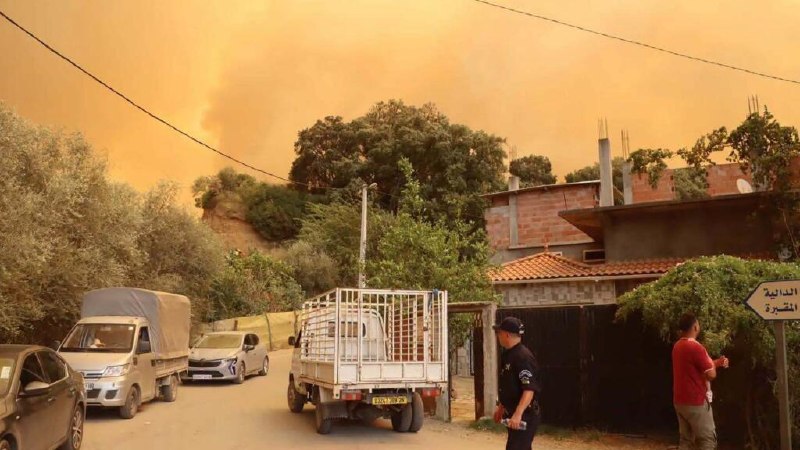 החדשות הבולטות במגרב: שריפות באלג'יריה, מוות בבתי הכלא בתוניסיה, שביתת עורכי דין במרוקו והסכם מדיני בלוב