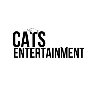 Cats Entertainment Chat Telegram Group Link