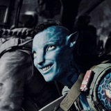 𝖹-𝖣𝖮𝖦 ‘ закрыт.