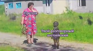 Учил английский по правилам и таблицам, но до сих пор сложно поддержать разговор, пошутить, поспорить или уверенно выразить свои мысли?Мы делаем ставку на практику: больше общения, меньше зубрёжки. Без стресса, давления и страха ошибиться. Просто живой анг