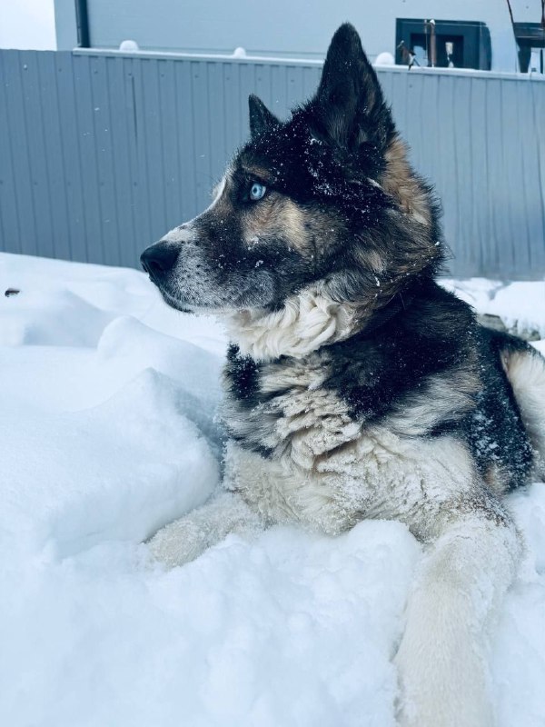 Изображение 4