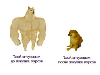 Покупать курсы инглиша на энтузиазме и сливаться на второй неделе — это уже почти национальный спорт. Почему так происходит? Потому что скучно! Тут ребята перевернули игру: здесь нет нудных лекций, только живое общение с классными, невыгоревшими учителями.
