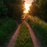 Пейзажные приключения