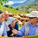 همسفر روستا_به روایت محمد مهدی توکل