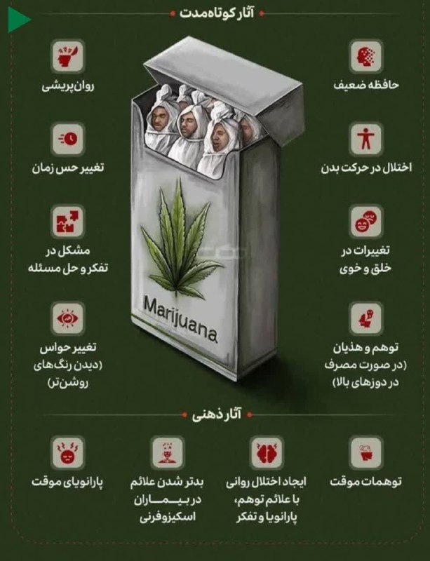 سرایان20: #والدین_آگاه🛑 مصرف گل روی ذهن و مغز چه تاثیراتی ‌می‌گذارد؟!#اعتیاد#موادمخدر#پیشگیری_از_اعتیاد#خادمان_امین#پلیس_سرایان 🔹ف