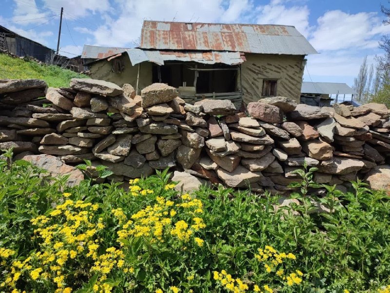 💬 بابل نیوز: صبح بخیر بابل 🌤طبیعت زیبای روستای ییلاقی پاریجانعکس : احمدرضا کیاییکانال #بابل_نیوز بَله :🆔️ https://ble.ir/BabolNews_ir