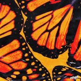 NEO-ORANGE