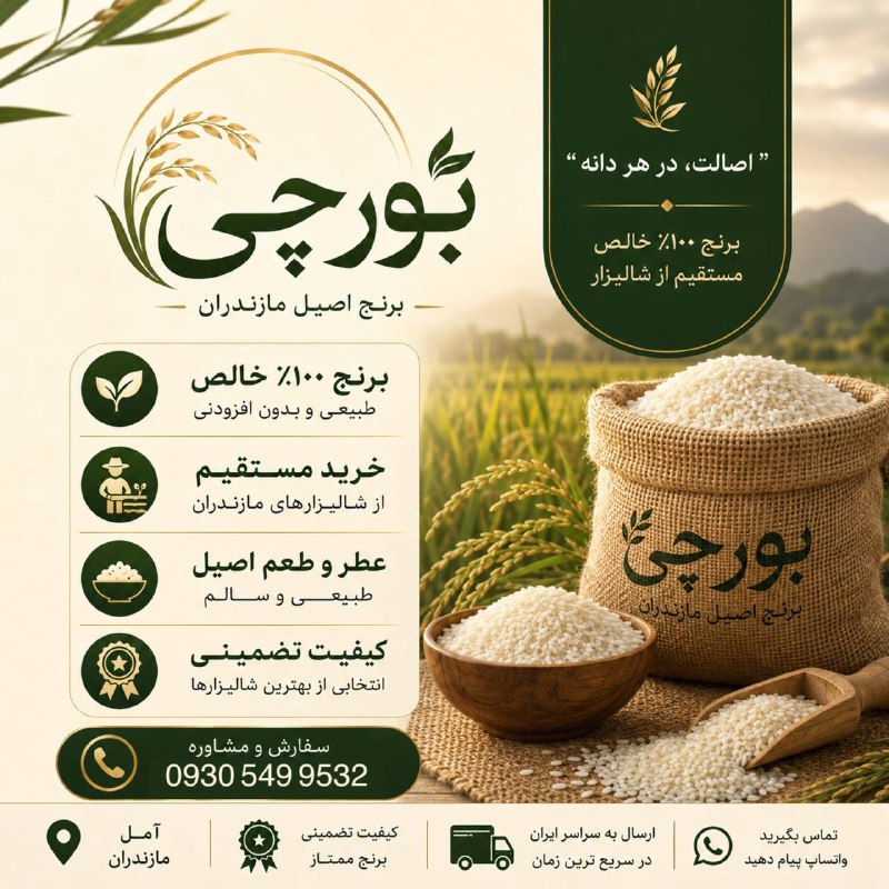 حس خوب: «برنج اصیل و ممتاز مازندران | بورچی»🌾—اصالت، در هر دانه—📍برنج ۱۰۰٪ خالص | مستقیم از شالیزار🌱طبیعی و بدون افزودنی 🌱عطر و