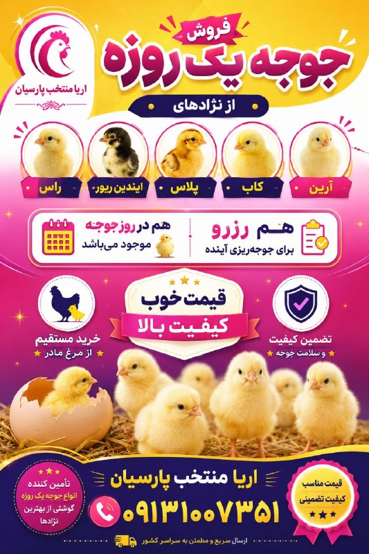 Ariamontakhab: 🌻🍃 درود بر شما مرغداران عزیز 🍃🌻❗️آمار جوجه برای (سه شنبه - چهارشنبه)❗️ 🐣 تعدادی جوجه اجداد از رشت و مازندران 🐤 تعدادی جو