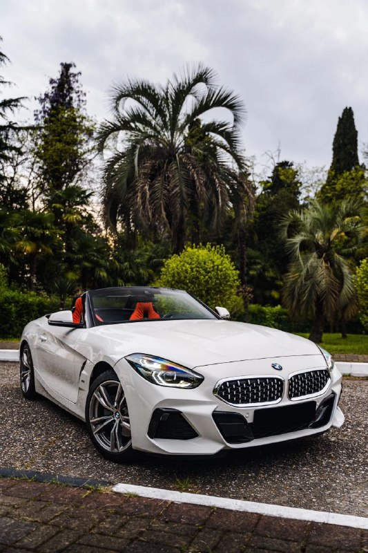BMW Z4