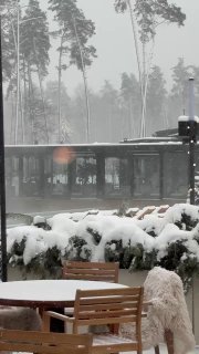 Alaska Pool Club в парке Малевича невероятная атмосфера, собственный ресторан, теплый бассейн под открытым небом, сауна и уютная лаундж-зона. - изображение 7 - alaska, pool, club