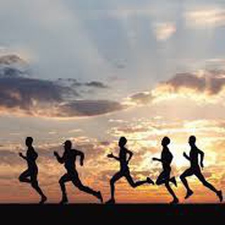 Iranian Sports Company Telegram Group Link