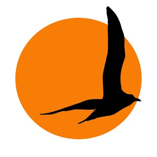 Кастинг Черноморской киностудии