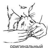 НОЛЬСОРОКДВА (0:42)