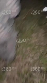 צייד ירה ברבורים באגם בבשקיריה. עד ראייה לתקרית באגם אלאקול סיפר לנו את הפרטים. לדבריו, הוא שמע כחמש-שש ירי…