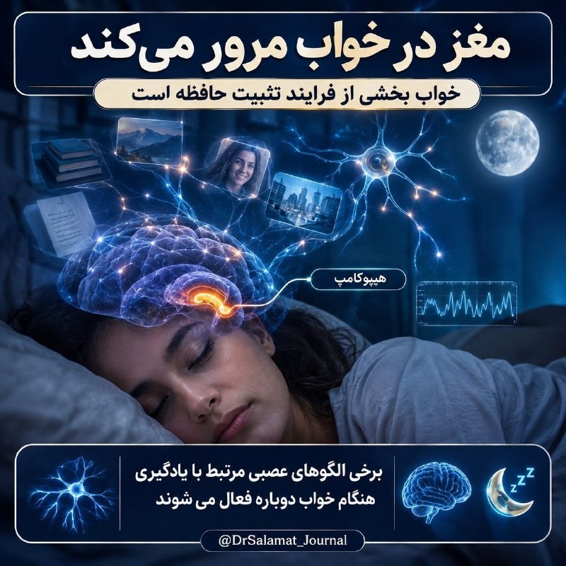 روزنامه سپهرغرب: ⭕️مغز هنگام خواب، خاطرات روز را دوباره مرور میکند🔸️خواب فقط خاموش شدن مغز نیست. هنگام خواب، شبکههای عصبی همچنان فعالا