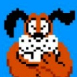 🐶DUCK HUNT🦆