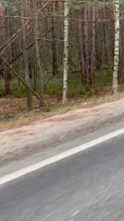 https://t.me/bmw_mpower_club