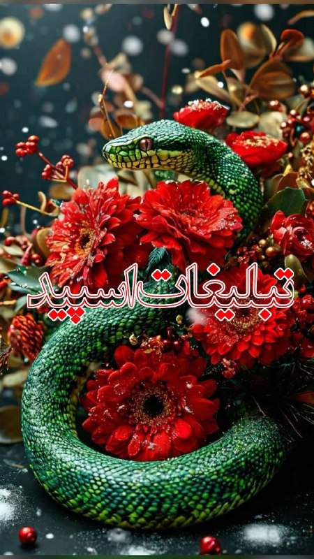لینکدونی گروه چت شیراز: ❶﹚ نام : خــودمــونیــا ⛓️👭❷﹚ نو؏ تبلیغات : #telegram❸﹚ توضیحات :قوانین گروه پی ممنوع ❌شوخی در حد ✅امیدوارم لحظات خوبی د
