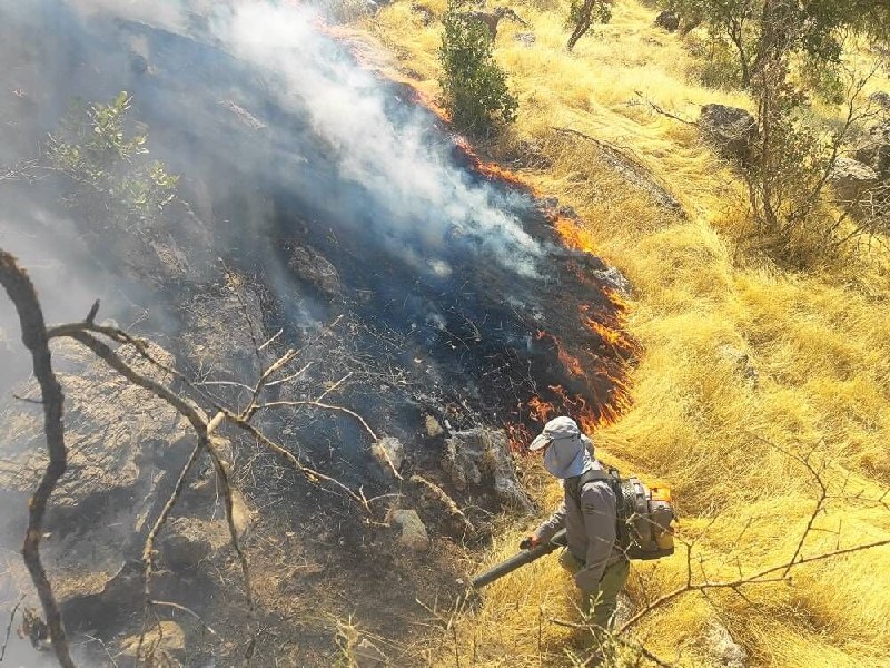 עיקר השריפה במרחב המוגן בוזין ומרחל פווה כולה