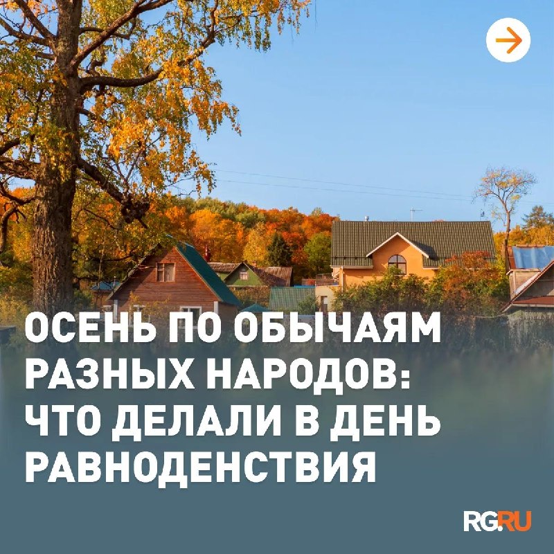 Иллюстрация к посту канала Российская Газета | Новости