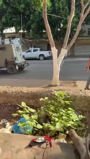 רשת חדשות ירושלים