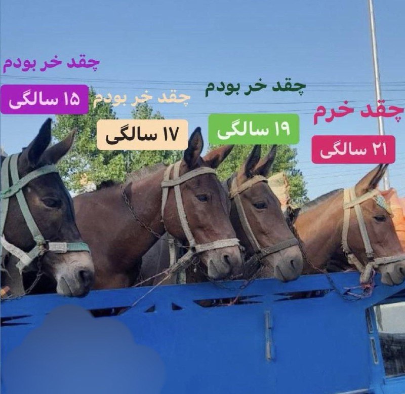 کانال درهم برهم 💯: من در تمام مراحل زندگی :🆑 @BarhamTel 💯👈