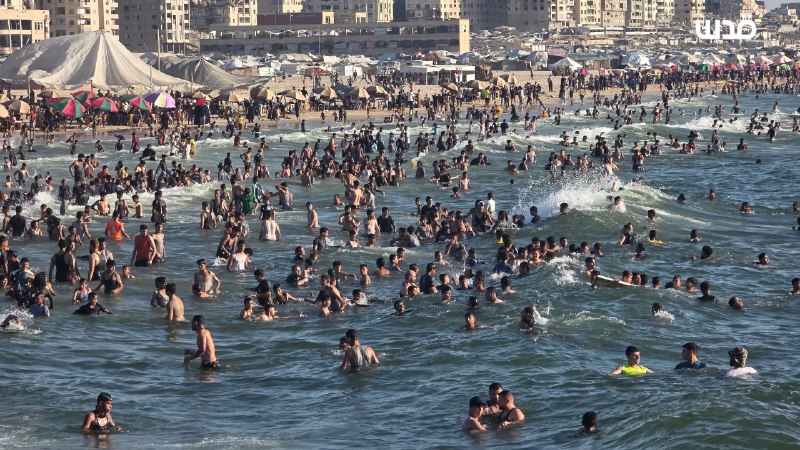 רשת חדשות ירושלים
