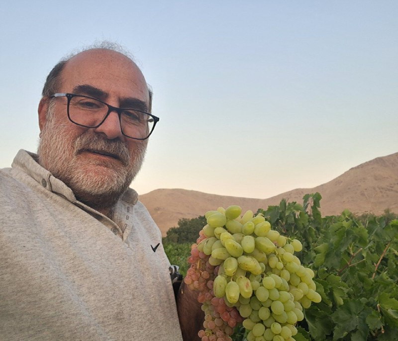 هزاوه تلگرام: 🔸️ هزاوه امروز بالاخره هم کشمش سرخا رسیدن، هم عسگریا و هم شیرازیا @hezavegram #هزاوه_روستا_امیرکبیر_قائم_مقام