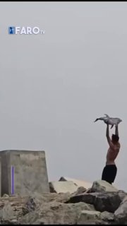 🇪🇸🌚 צילומים מ-Ceuta: מהגרים נתפסים במצלמה מתעללים בחיות בר.