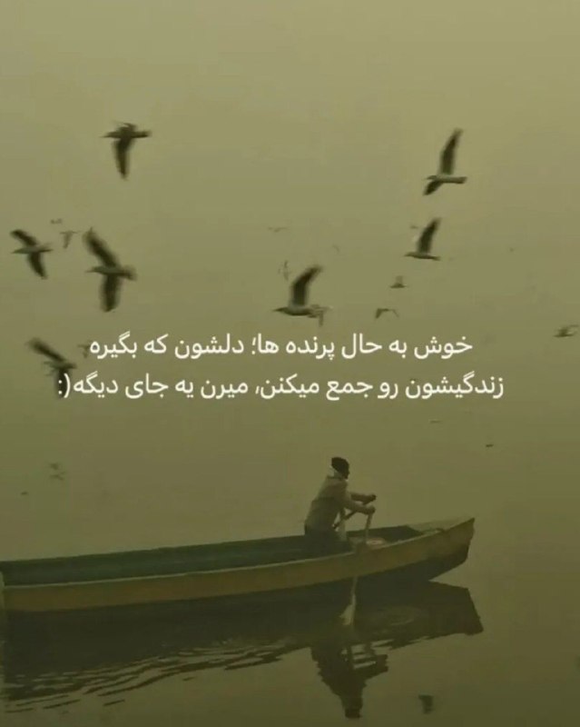 🎆🎀 فتونایس 🎀🎆: خوش به حال پرنده ها.....#عکس_نوشته 🌼🍃@photoniceee✿࿐༅࿇༅࿐✿