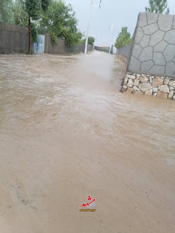 آب و هوای مشهد: 🔸️سیلاب دیروز در گاوترنا 🌧️🌊@HavashenasiMashhad