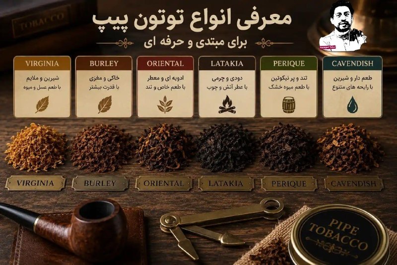 📜مقالات انجمن پیپ📚: 🔶 معرفی انواع توتون پیپ برای مبتدی و حرفه ای🌿🌿🌿🌿🌿🌿🌿🌿🌿🌿🌿اگر قصد خرید توتون پیپ را دارید، احتمالاً با تنوع زیادی از برندها