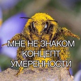 Сумасшедший дом