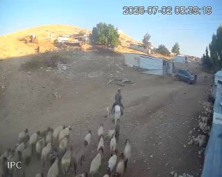 מתנחל פרץ לריכוז אל-כעאבנה מזרחית לירושלים ושחרר עדרו בין בתי תושבים