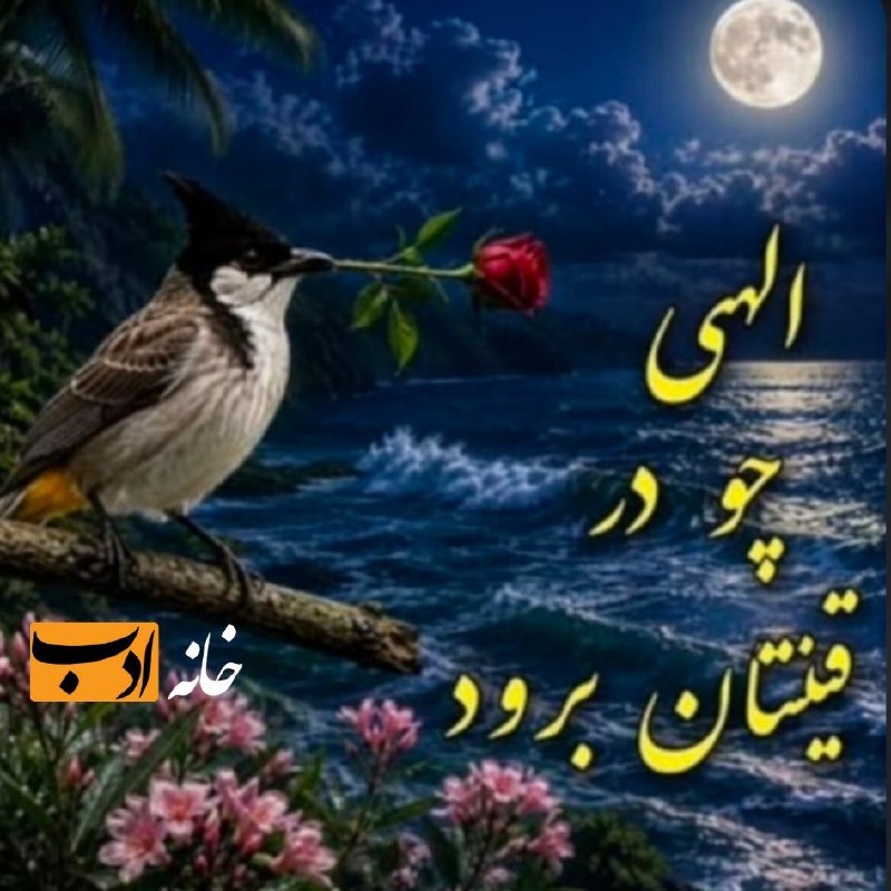 Khane adab: چو = شادی، نشاطقین = قلب(بفرست واسه دوست لُرت 😍🥰👏)@khan_adab