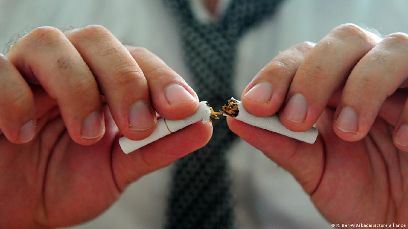 Бросившие курить испытывают эффект регенерации во всем организме и живут дольше, выяснили немецкие ученыеОб этом они рассказали изданию Die Welt. Как говорит Мартин Халле, возглавляющий отделение профилактической спортивной медицины и спортивной кардиологи