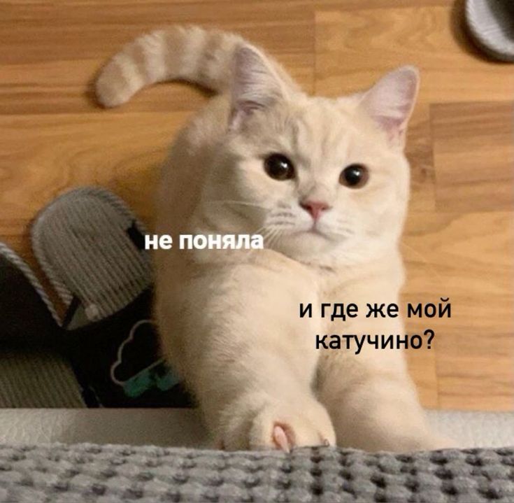 Иллюстрация к посту канала Курганистан | URA.RU