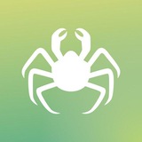 Design Contest