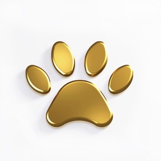 Золотые лапы🐾