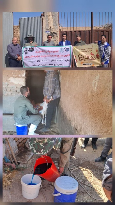کانال خبری نطنز: 📍به مناسبت آغاز هفته دولت صورت گرفت؛ برگزاری اردوی جهادی دامپزشکی در شهرستان نطنز🔷به گزارش روابط عمومی اداره دامپزشکی نط