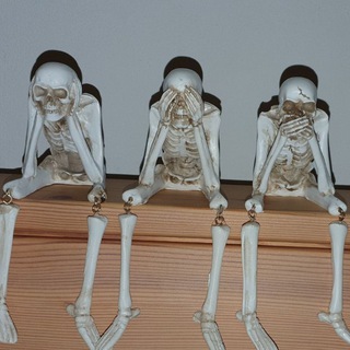 мσяρнєυѕ ηєσ 🙉🙈🙊